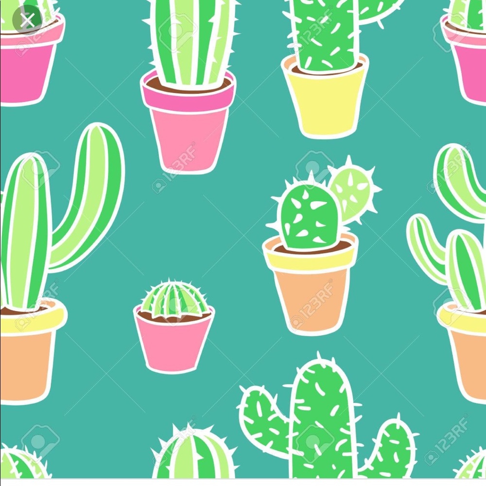 Meet your Posher, Alisa